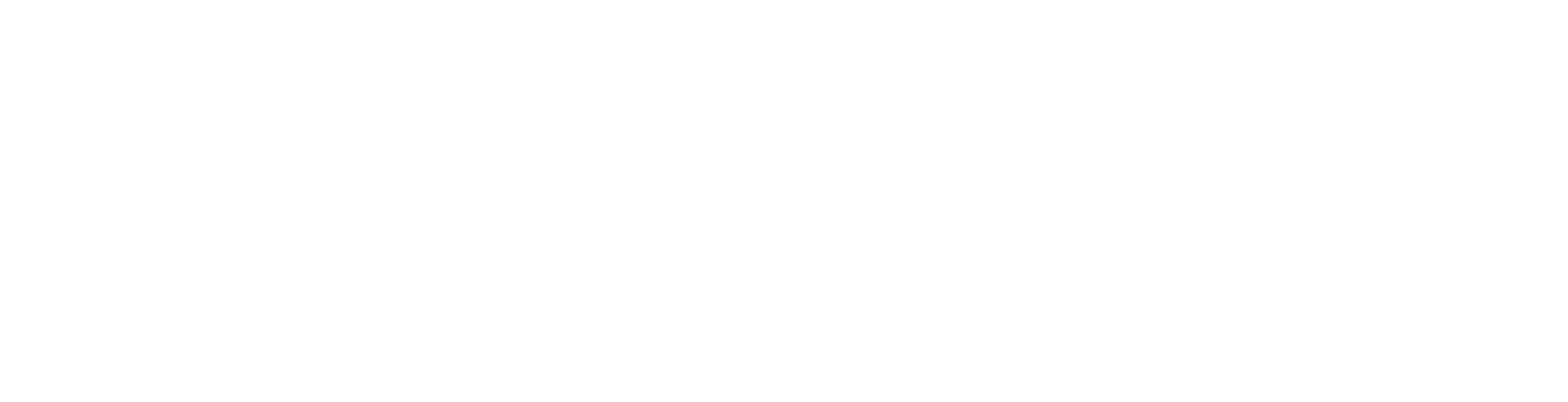 新莉家整理师